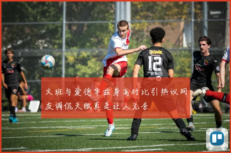 文班与爱德华兹身高对比引热议网友调侃天赋真是让人无奈